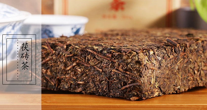 六百年养生名茶-茯砖茶(上)